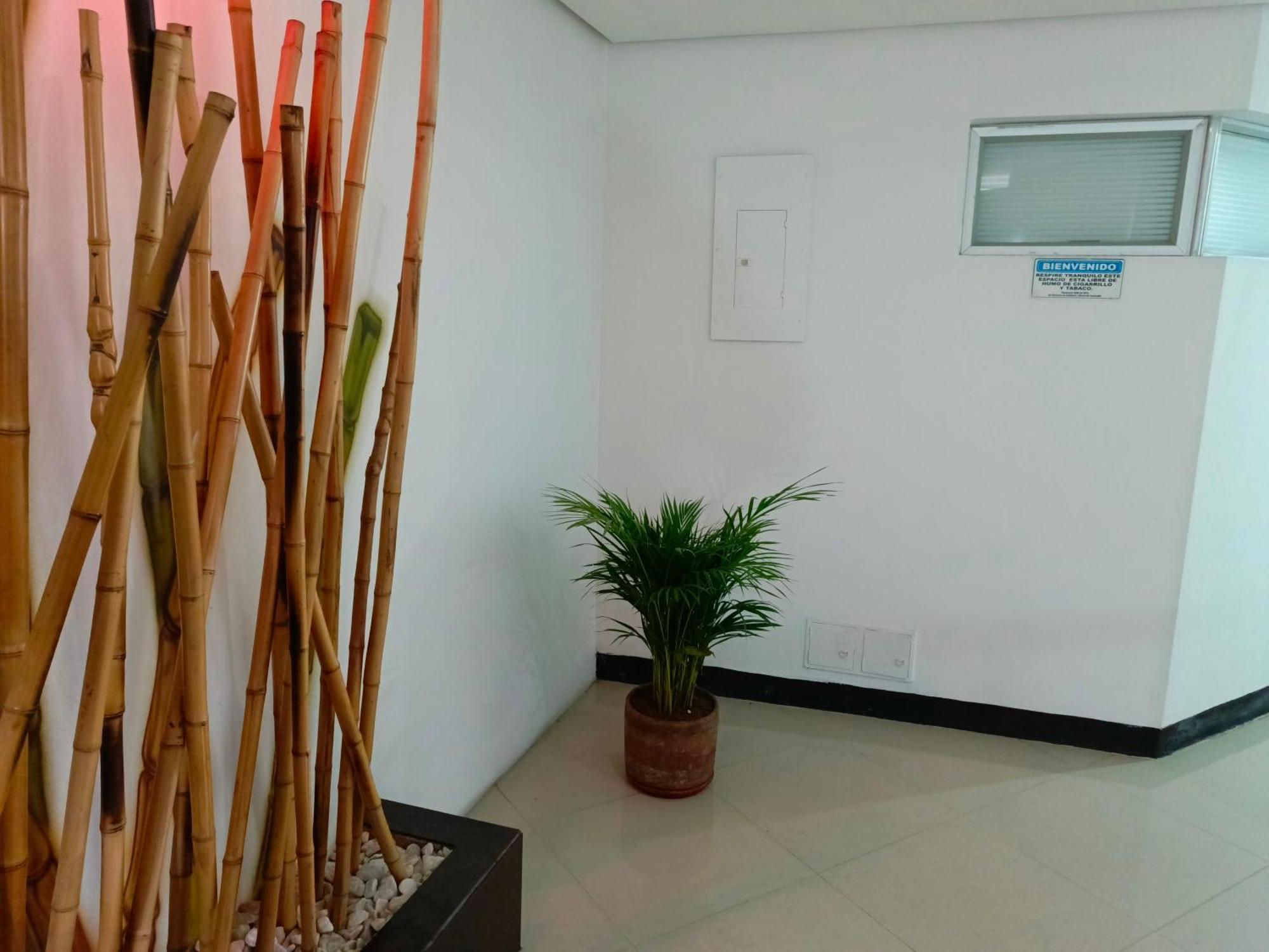 Hotel Spa Laureles ميديلين المظهر الخارجي الصورة